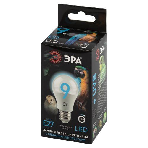 Лампа для птиц и рептилий Chicken с UVB спектром FITO-Dim 9W E27 | код Б0059884 | ЭРА фото 3 Лампа для птиц и рептилий Chicken с UVB спектром FITO-Dim 9W E27 | код Б0059884 | ЭРА фото 3