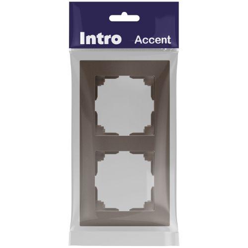 Рамка для розеток и выключателей Intro Accent 6-502-08 на 2 поста, СУ, бронза | код Б0063777 | ЭРА