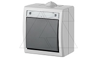 AQUANT - Выключатель/переключатель на 2 направления, 10A/250V, ABS ,UV, IP55, корпус RAL7035/кнопка RAL7043 | код 1201-10 | Elektro-plast Nasielsk