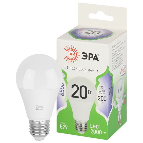 Лампа светодиодная LED 20 Вт 2000Лм 6500К груша холодный E27 220-240В LED A60-20W-865-E27 Green Line | код Б0067102 | ЭРА