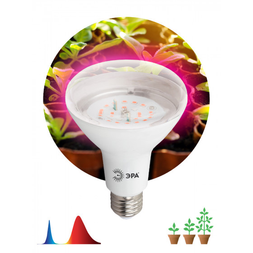 Лампа светодиодная лампа для рассады тип А60,FITO-16W-RB-E27-K 16 Вт, 220-240V | код Б0039072 | ЭРА