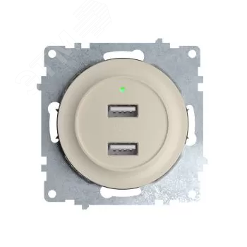 Розетка USB 2-м СП Florence 16А IP20 с подсветкой механизм беж. 1E10351301 | код. 2260090 | OneKeyElectro