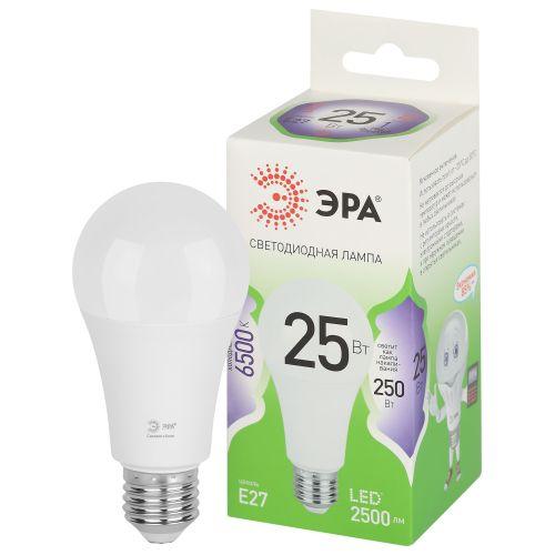 Лампа светодиодная LED 25 Вт 2500Лм 6500К груша холодный E27 220-240В LED A60-25W-865-E27 Green Line | код Б0067111 | ЭРА