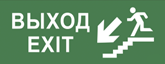 Пиктограмма ДСО-IP65 Выход - лестница вниз | код 60485DEK | DEKraft