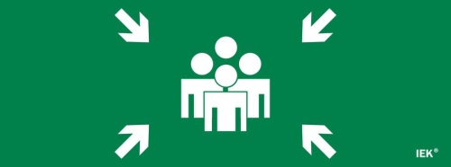 Этикетка самоклеящаяся 350х130мм ''Место сбора'' IEK | код LPC10-1-35-13-MSTS | IEK