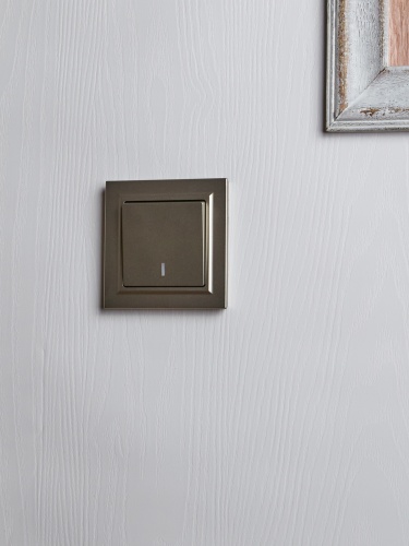 BRITE Выключ. 1-кл. прох. с инд. 10А ВС10-1-7-БрШ шамп. IEK | код BR-V12-1-10-K37 | IEK фото 5