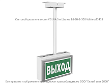 Световой указатель BS-VOLNA-10-S1-ELON | код a17041 | Белый Свет