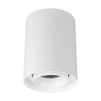 Светильник светодиодный SP-FOCUS-R110-18W Day4000 (WH, 15 deg, 230V) (ARL, IP54 металл, 5 лет) | код 54842 | Arlight