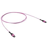 Патчкорд 12ОВ 50/125 OM4, 1xMTP PRO (12)/1xMTP PRO(12), 1м | код RNPCFF124B01 | DKC