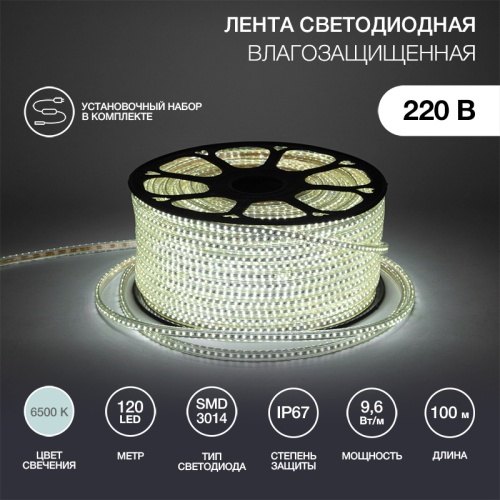 LED лента 220 В, 6x10.6 мм, IP67, SMD 3014, 120 LED/m, цвет свечения белый, 100 м | код 142-801 | NEON-NIGHT