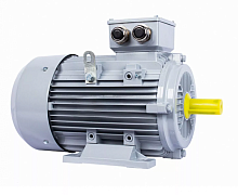 Электродвигатель 100 LB4-SDN-Б1-S12-IE3 IM B3 3/1500 Китай (ESQ PR) | код 01.05.02.000129 | ESQ