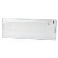 Аварийный светильник DPA-301-1-65 постоянный 40LED 3ч IP65 NiCD | код Б0051843 | ЭРА