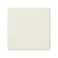 Заглушка, сл.кость | код 27800-32 | Simon