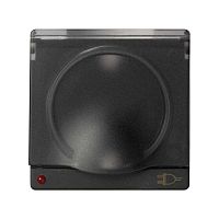 Накладка с крышкой и индикатором напряжения для 75432-, 75464-39, S82,82N, графит | код 82099-38 | Simon