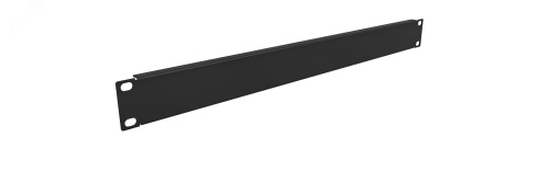 Панель 1U заглушка , крепление 19 1U, черный RAL 9005 | код NTSS-FUB-1U-BL | NTSS