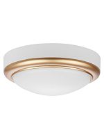 Светильник накладной LED ДПО Антарес 15Вт 6500К круг 180*66 мм мат.золото IP54 TDM | код SQ0354-0026 | TDM