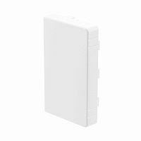 LAN 25x30 Заглушка(розница, 2 шт в пакете) | код 00867R | DKC