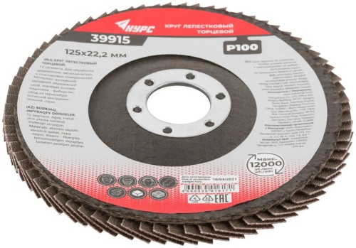 Круг лепестковый торцевой 125 мм P 100 | код 39915 | FIT фото 2