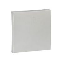 Валенсия лицевая панель выключателя проходного 1-кл, 10А сталь PROxima | код ESV10-L-025-30 | EKF