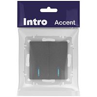 Выключатель Intro Accent 6-105-07 двойной с подсветкой, 10А-250В, IP20, СУ, AL/CU, графит | код Б0063521 | ЭРА