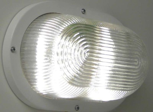 Светильник светодиодный ДБО ЖКХ-003 LED 13Вт IP40 антивандальный со стеклом (ый) | код ЖКХ-003 овал прозрачн | Аргос-Электрон