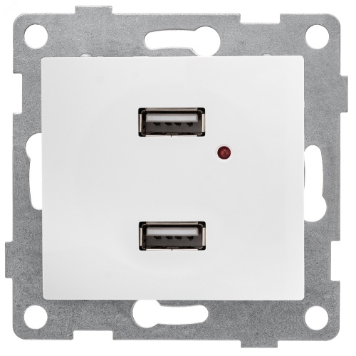 GUSI Bravo механизм розетки USB, двойной, скрытая установка. Цвет белый. | код С10USB2-001 | GUSI ELECTRIC