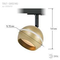 Трековый светильник TR47 - GX53 MG однофазный под лампу GX53 матовое золото под лампу GX53, лампа в комплект не входит | код Б0054157 | ЭРА