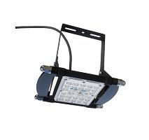 Прожектор LED ДО 29-40-013 40Вт 5000К КСС_К/Г IP67 Carbon ALB F2991