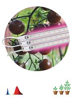 Светильник FITO-3х10W-LINE-RB90 | код Б0050924 | Эра