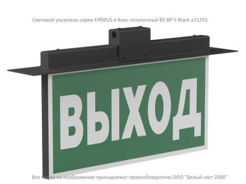 Бокс потолочный BS-BP-5 Black | код a15355 | Белый Свет