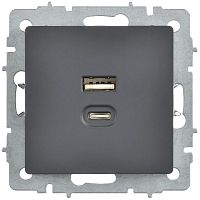 BRITE Розетка USB A+C 45Вт высокоскоростная зарядка РЮ11-2-БрГ графит IEK | код BR-U22-045-K53 | IEK