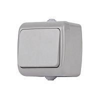 Выключатель Intro Atlantic 5-101-03 10А-250В, IP54, открытой установки, серый | код Б0050940 | ЭРА