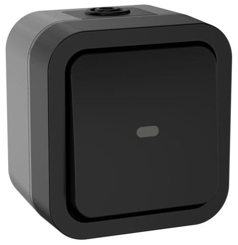 Переключатель одноклавишный с индикацией TORS 10А IP55 графит | код TS-V10-1-10-55-K53 | IEK