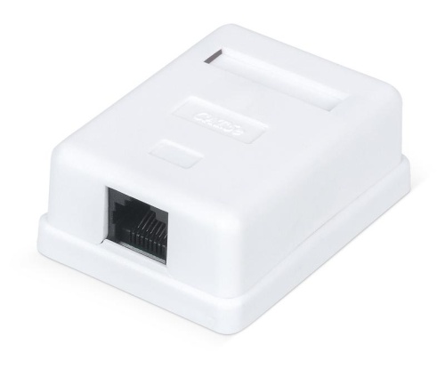 Розетка компьютерная 1-м ОП WR-WS-8P8C-C5E-1 RJ45 кат.5E неэкранир. Dual IDC бел. | код 505215 | WRline