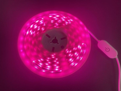 Лента светодиодная ФИТО DSL-010 IP65 (уп.3м) Camelion 15840 фото 5