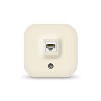 Розетка компьютерная ОП IP20 сл. кость IONICH 1432