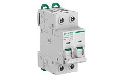 Автоматический выключатель (АВ) B 40A 2P 6kA 400В Systeme9 | код S9F21240 | Systeme Electric