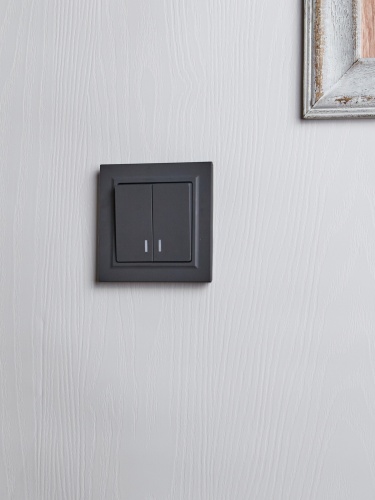 BRITE Выключатель 2-клавишный с индикацией 10А ВС10-2-1-БрГ графит | код BR-V20-1-10-K53 | IEK фото 7