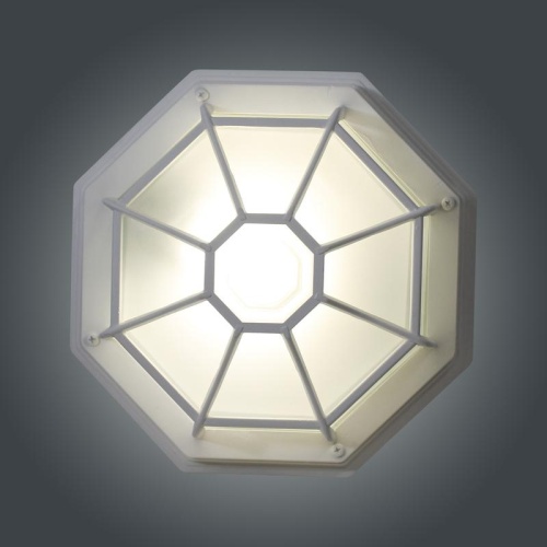 Светильник Тартаруга НПП 03-100-005 IP65 матовый /корпус с решеткой белый ИМ | код 1005301192 | Элетех фото 4