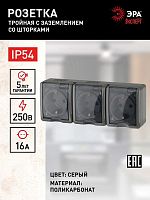 Розетка 3-м ОП Эра Эксперт 11-2406-03 16А IP54 16AX 250В 3х2P+E защ. шторки сер. | Код. Б0020723 | ЭРА