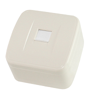 Розетка компьютерная (RJ-45) открытой установки IP20, сл. кость Дача Народная | код SQ1824-0024 | TDM НАРОДНЫЙ