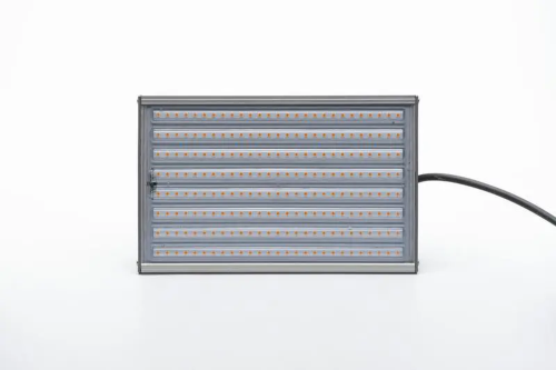Фитосветильник 30W Lisma Module M2 U Phyto F | код 220603200 | ЛИСМА
