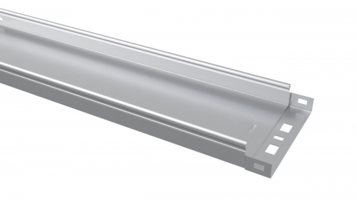 Лоток неперфорированный 50х300х3000-1,0 мм TDM | код SQ2901-1105 | TDM