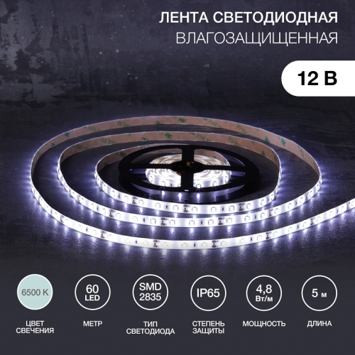 Лента светодиодная 12В, SMD2835, 4,8Вт/м, 60 LED/м, 6500К, 8мм, 5м, для БП с клеммами, IP65 LAMPER | код 141-2015 | LAMPER