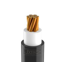 Кабель ВВГнг(А)-LS 1х50 Б МК 0.66кВ | код ТХМ00209006 | Кабэкс ( 1м )
