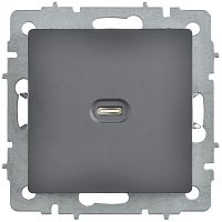 Розетка СП BRITE РЮ12-1-БрГ USB C 65Вт высокоскор. заряд. графит IEK BR-U13-065-K53