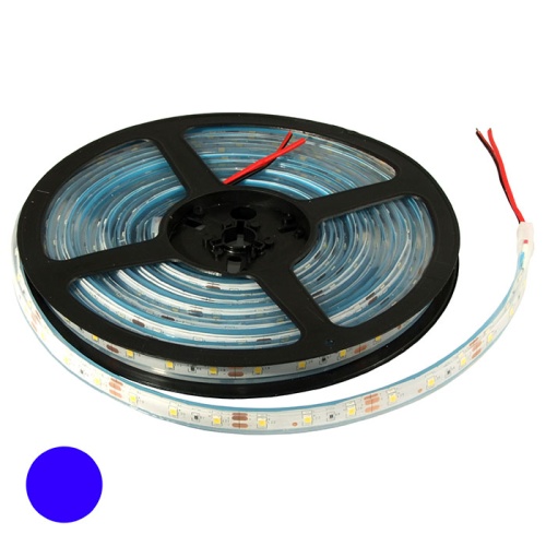 Светодиодная лента RUICHI, 2835, 300 LED, IP68, 12 В, цвет синий, длина 5 м | код 109730 | Ruichi
