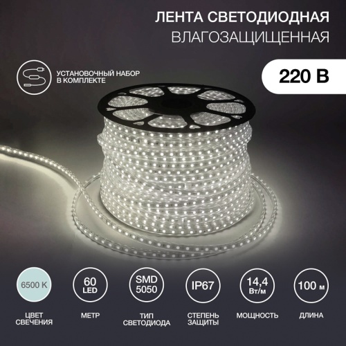 LED лента 220 В, 13х8 мм, IP67, SMD 5050, 60 LED/m, цвет свечения белый | код 142-105 | NEON-NIGHT