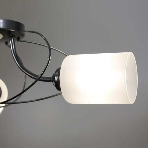 Светильник "Орбиталь" 131 хром (плафон 8461) НСБ 01-3х60-177 Е27 ИУ Элетех 1005404582 фото 5