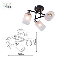 Люстра Fiona 3163-303 3 х Е27 60 Вт модерн (Б0059259) | код Б0059259 | Rivoli
